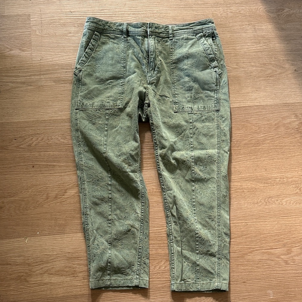 Anthropologie “The Wanderer” Floral Design Green Pants